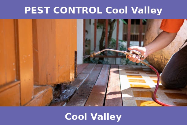 PEST CONTROL Cool Valley